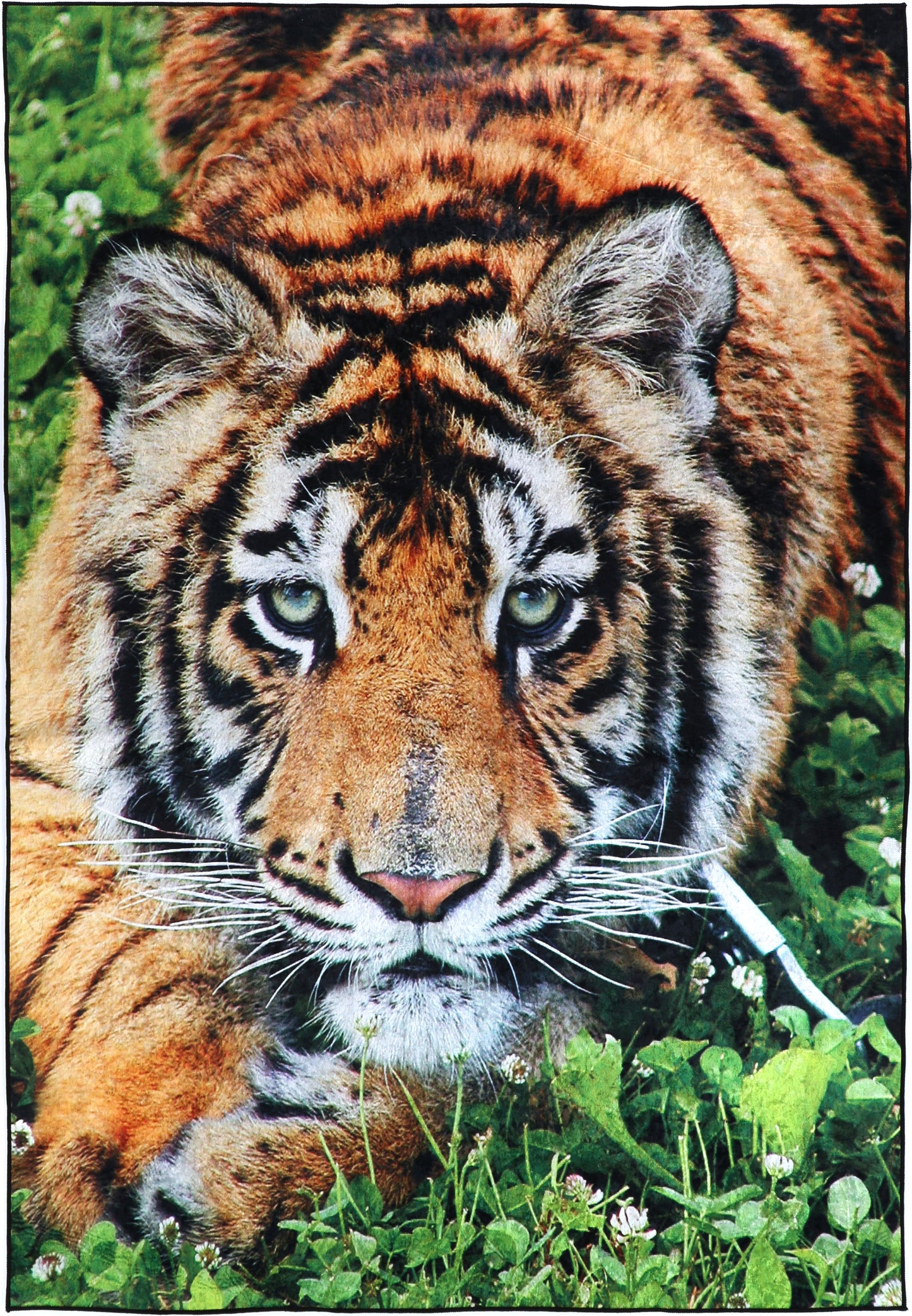 Valencia Tiger Non-Slip Rug - ANGE06