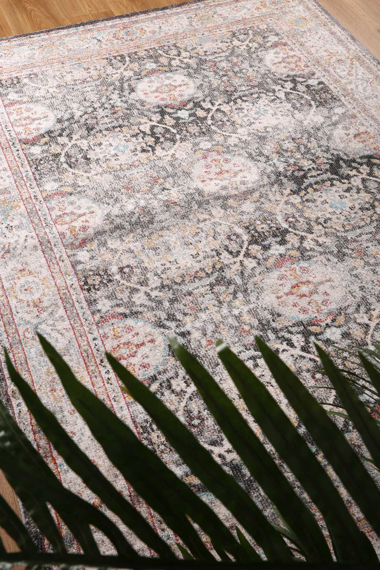 Lysia Shang Ogee Black and Red Rug