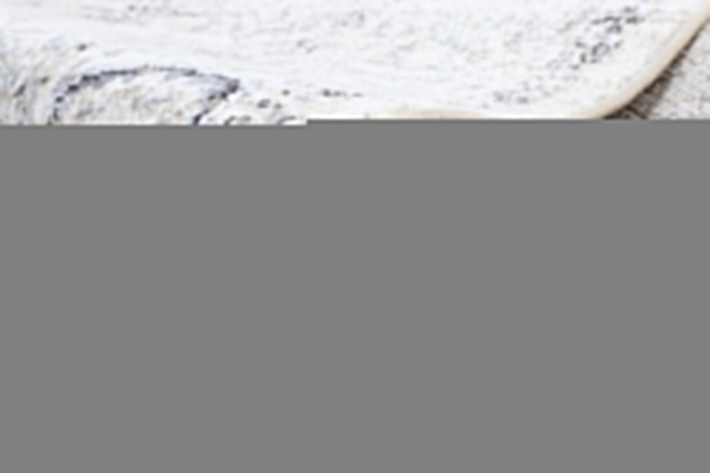 Axelle Ziegler Cream Grey Rug
