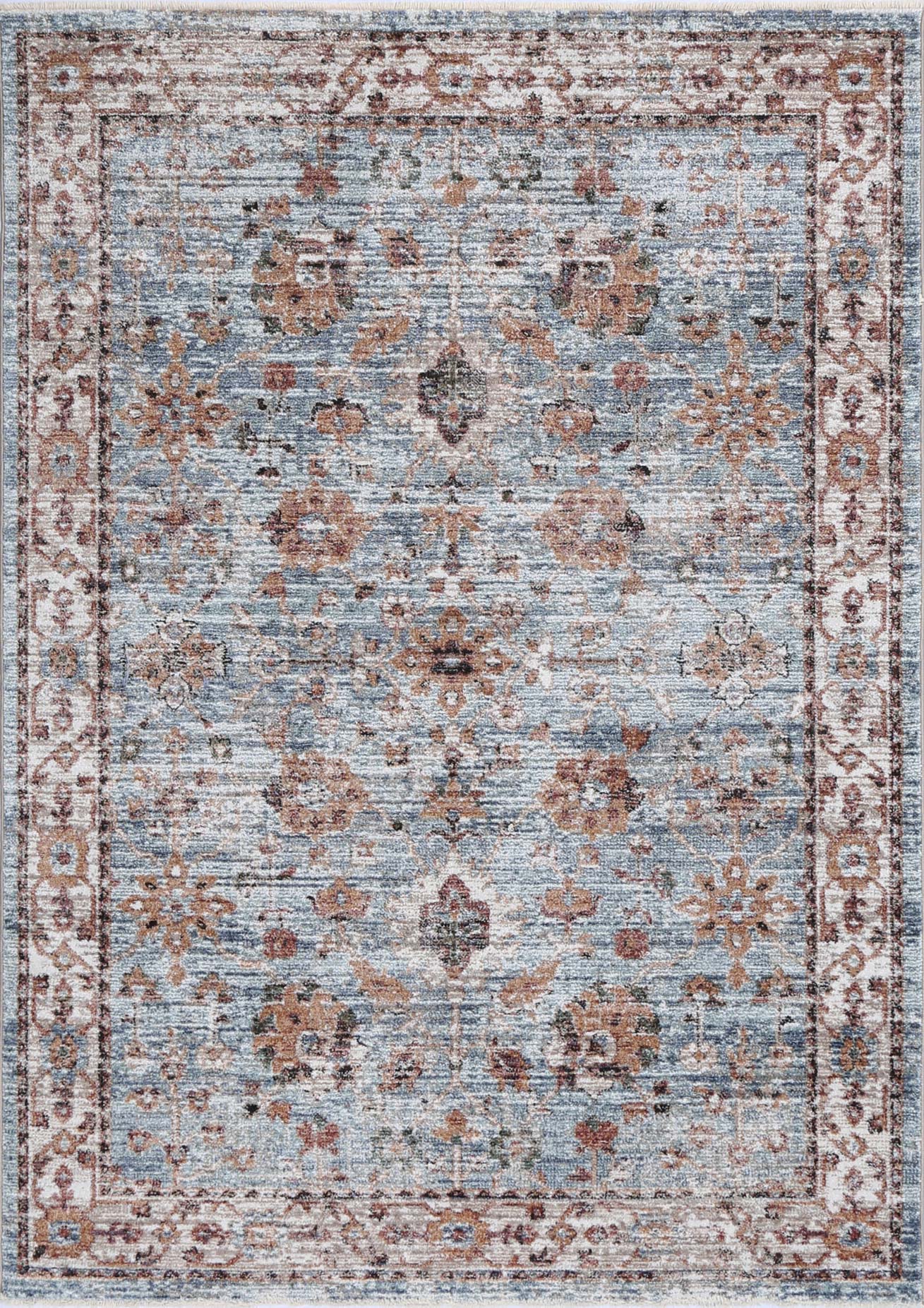 Montra Roanoke Transitional Blue Rug