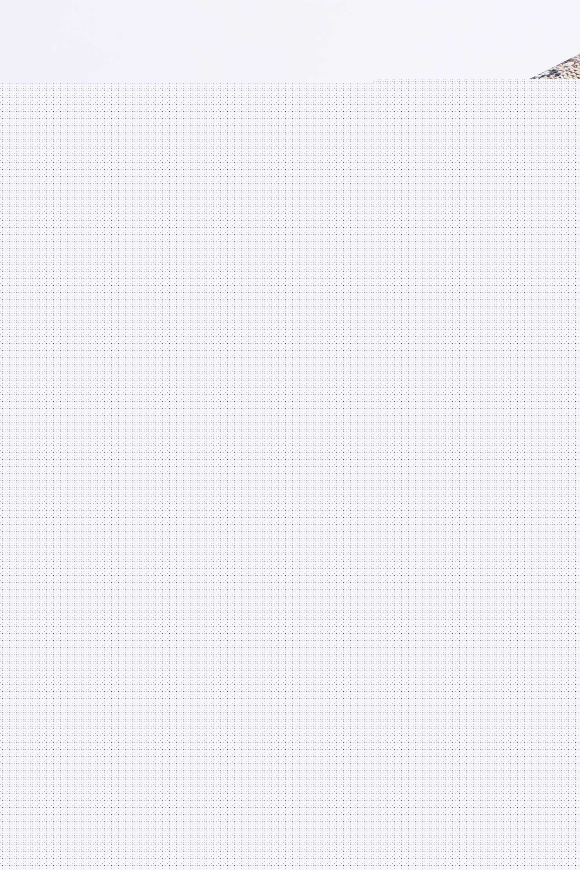 Lorena Manor Traditional Beige Rug