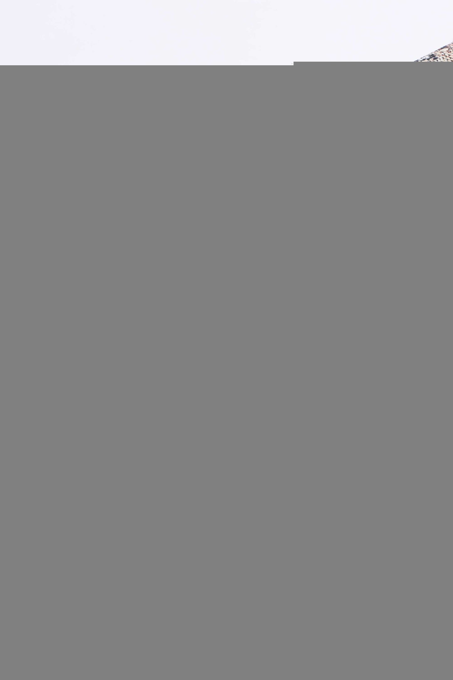 Lorena Manor Traditional Beige Rug