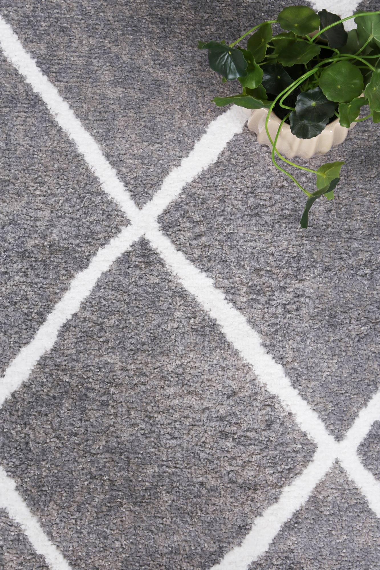 Driftsea Trellis Grey Contemporary Rug