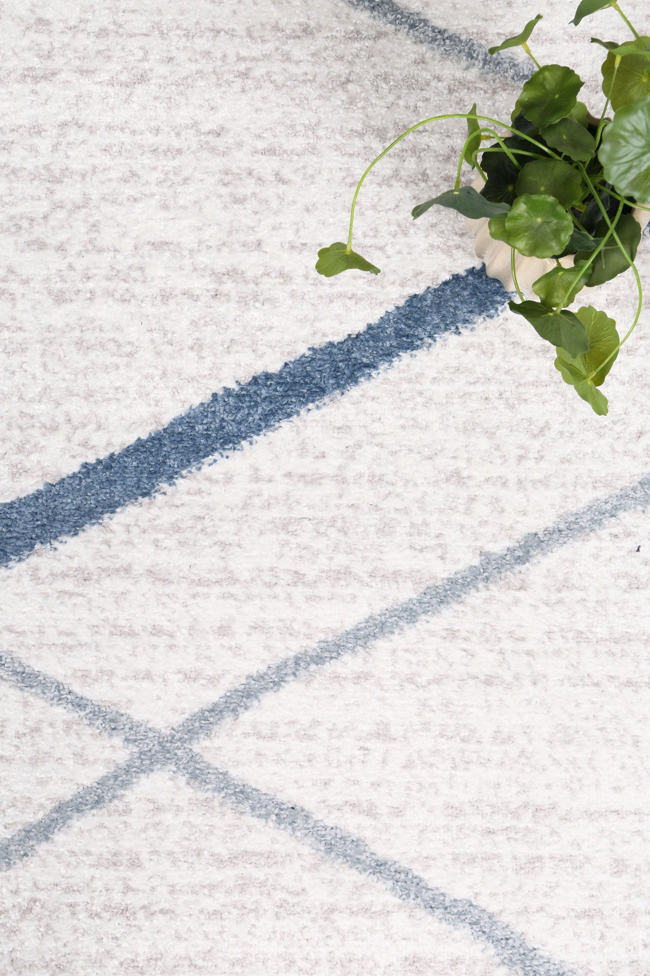 Driftsea Lattice Light Blue Contemporary Rug