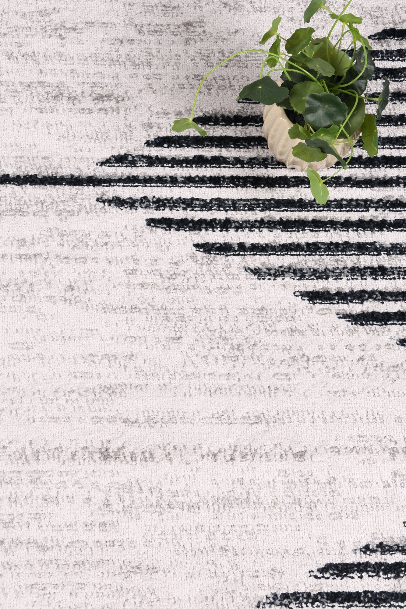 Driftsea Diamond Charcoal Contemporary Rug