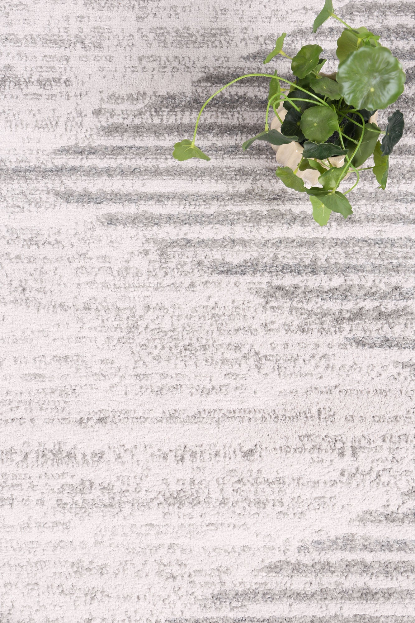 Driftsea Diamond Grey Contemporary Rug