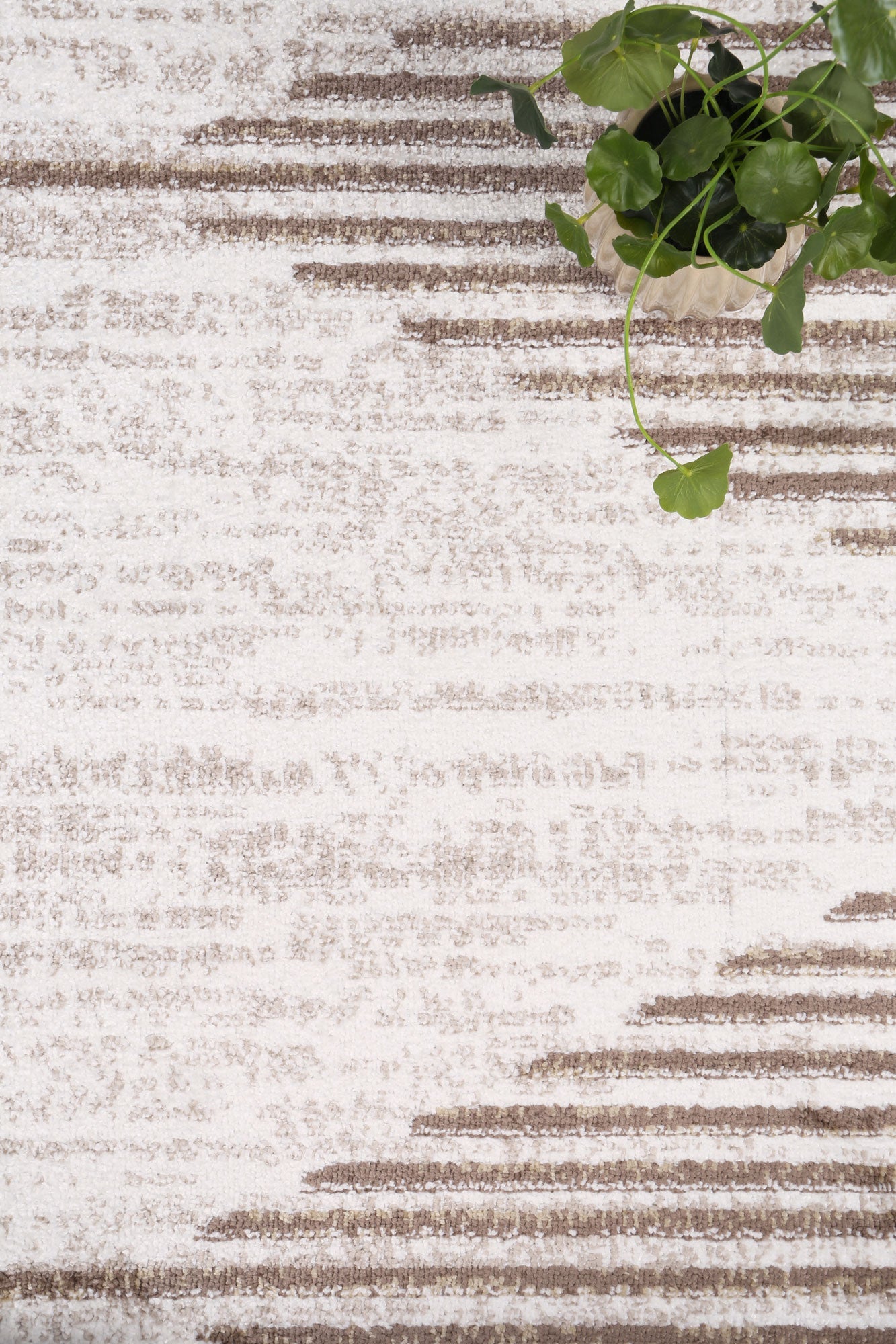 Driftsea Diamond Latte Contemporary Rug