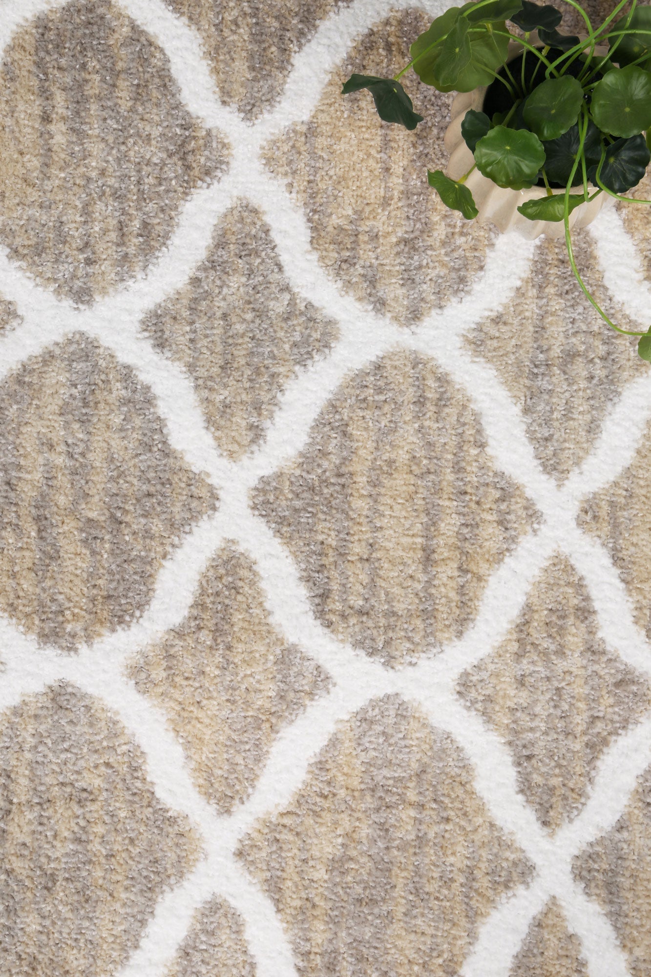Driftsea Repeat Latte Contemporary Rug