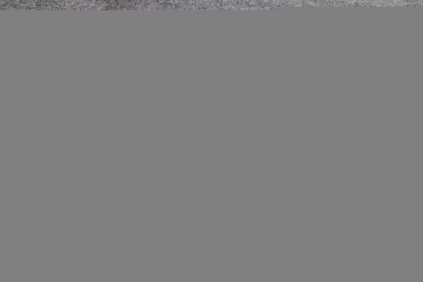 Turin Grey Plush Rug