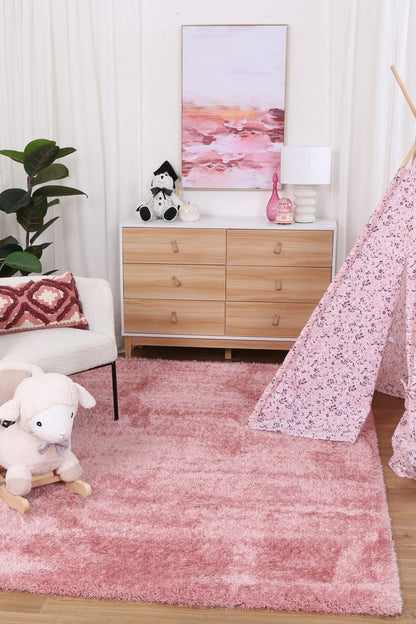 Shapira Pink Rug
