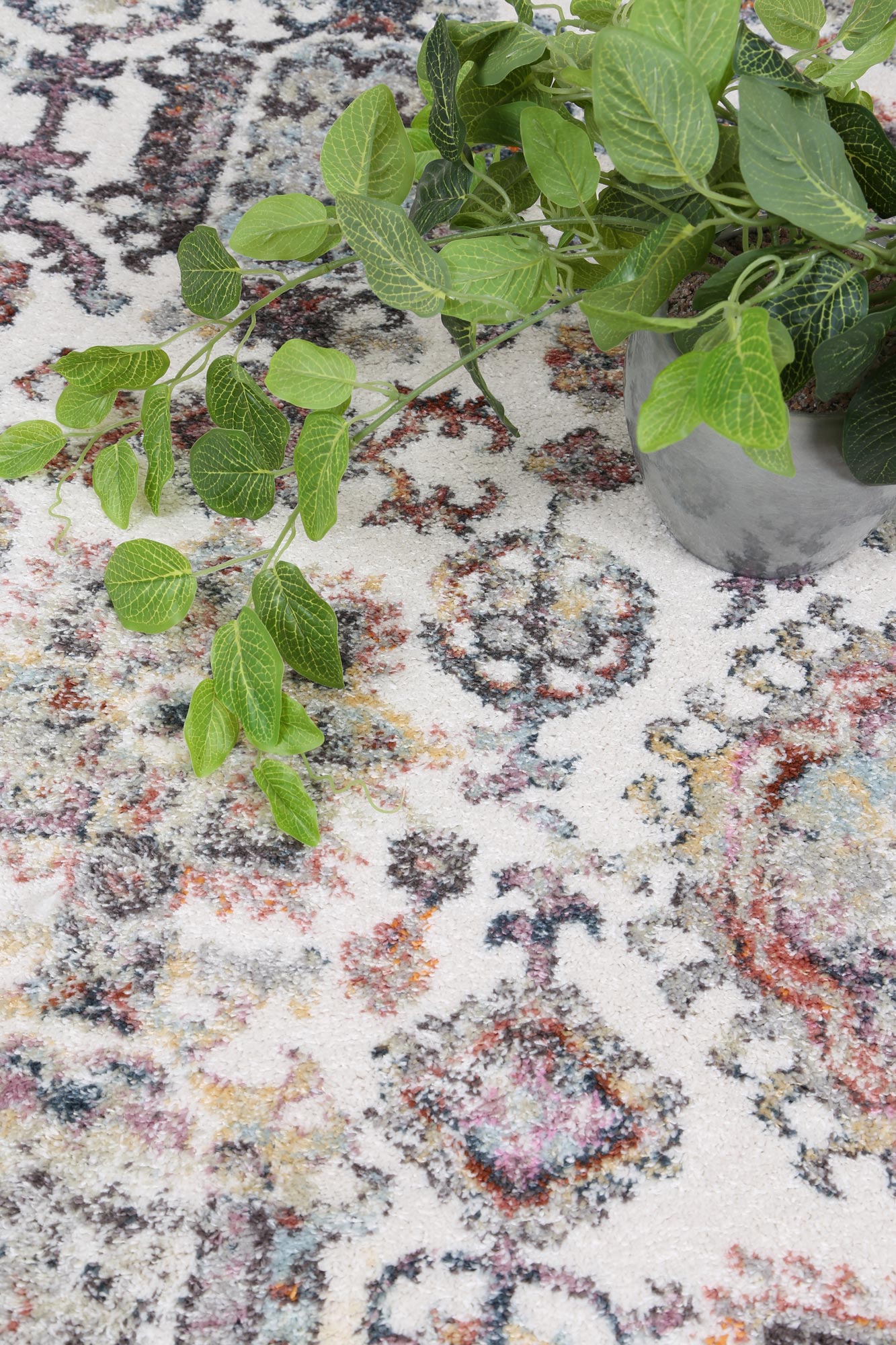 Maranta Camino Border Cream Rug