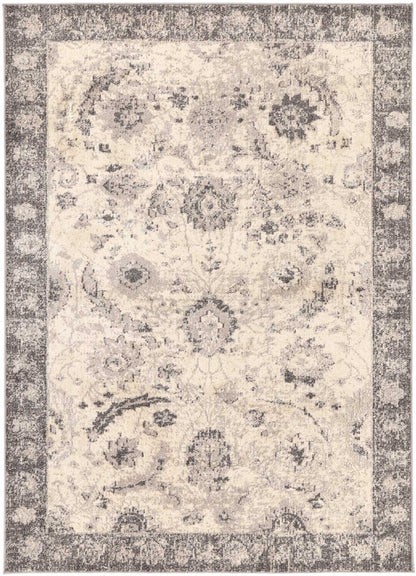 Zeyra Warm Cream & Grey Transitional Rug
